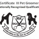 IGC-Logo